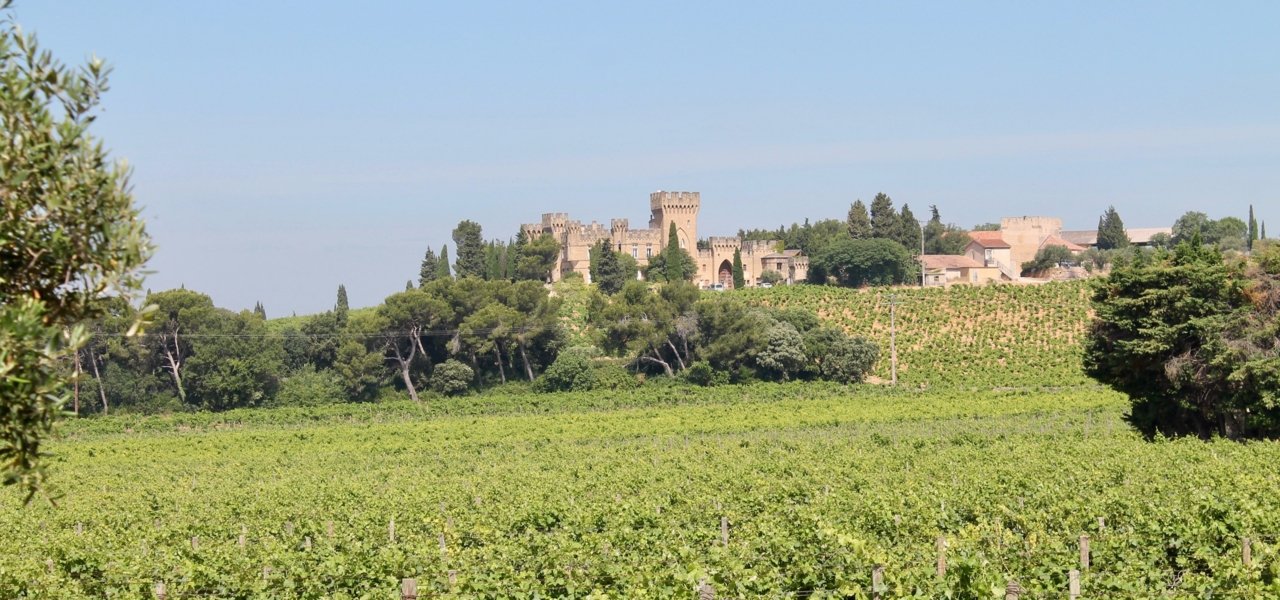 Châteauneuf du Pape wine tour